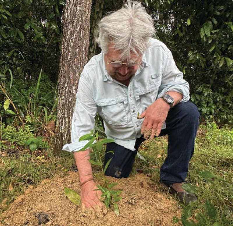 Tree planting at UFAM, Brazil, 2025
