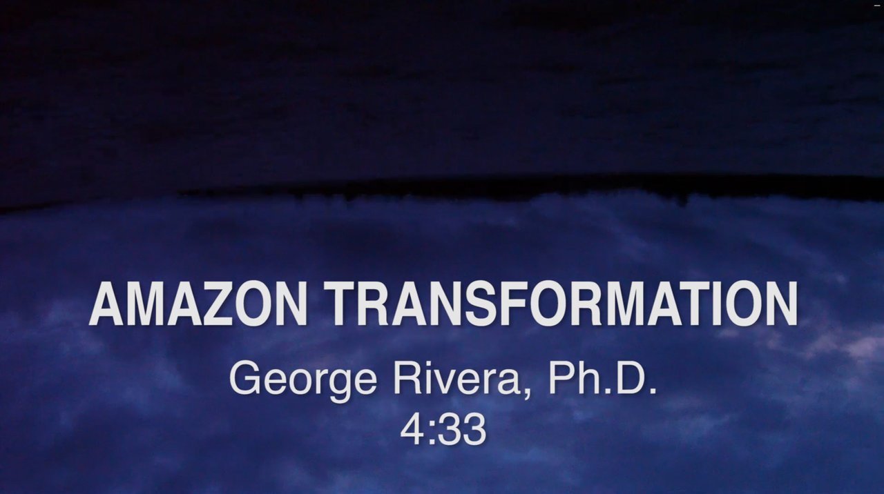 Amazon Transformation