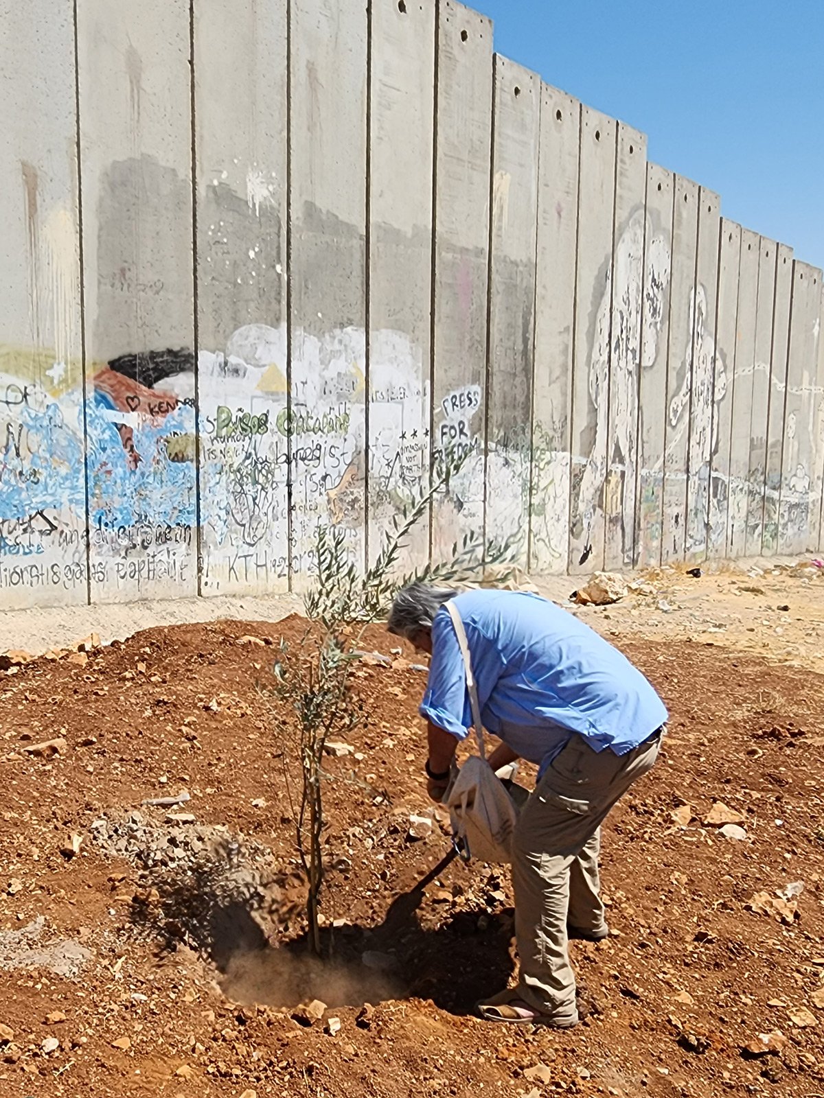 George Rivera &mdash; After 5000 Oaks, Palestine 2022